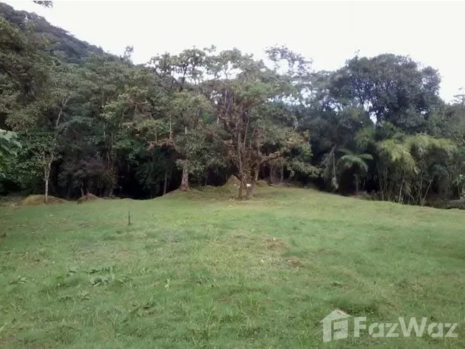 Land for Sale in Vasquez De Coronado, San Jose for $145,000 — photo 5