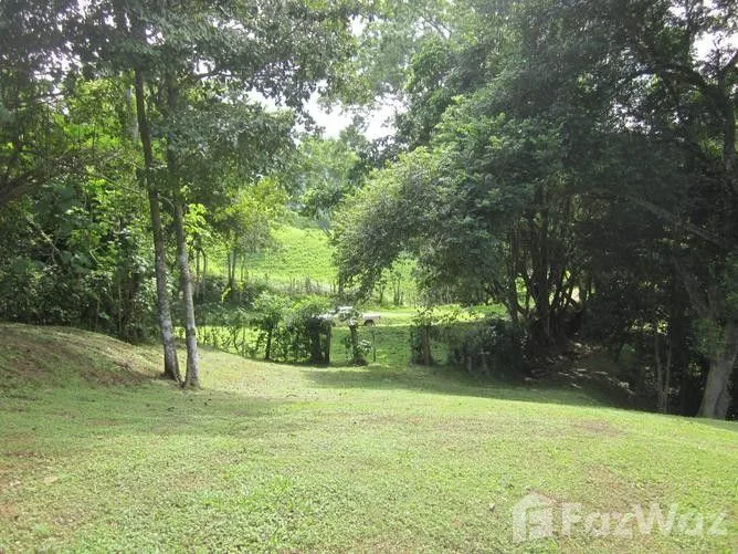 Land for Sale in Garabito, Puntarenas for $130,000