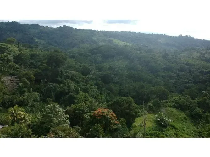 Land for Sale in Golfito, Puntarenas for $65,000