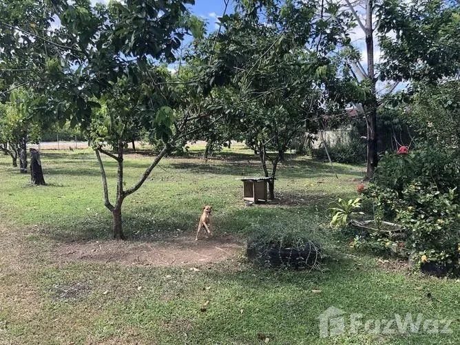 6 Bedroom House for Sale in Siquirres, Limon for $314,000