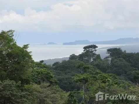 Land for Sale in Puntarenas, Puntarenas for $79,000