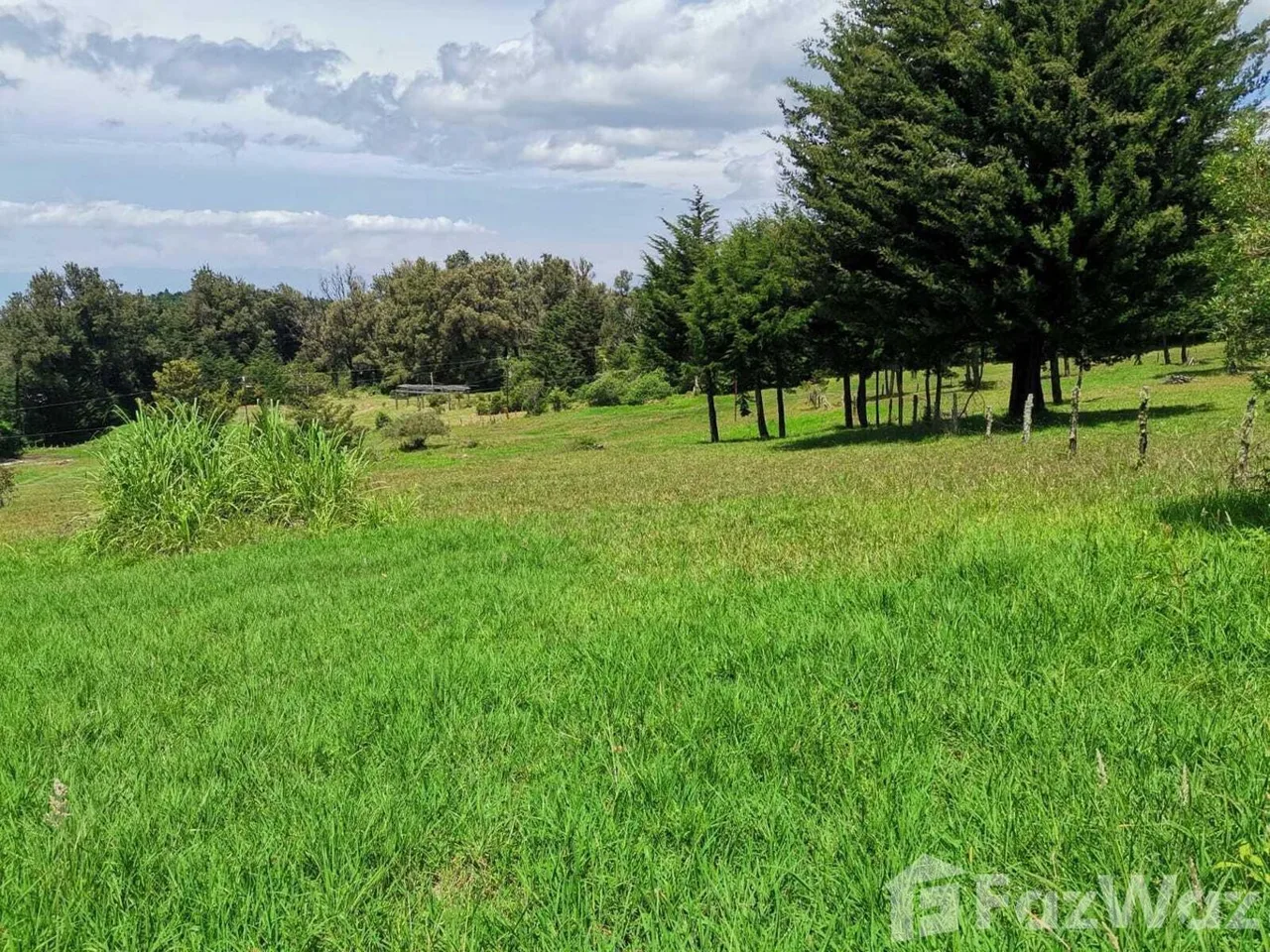 Land for Sale at HEREDIA for $255,000 — photo 2