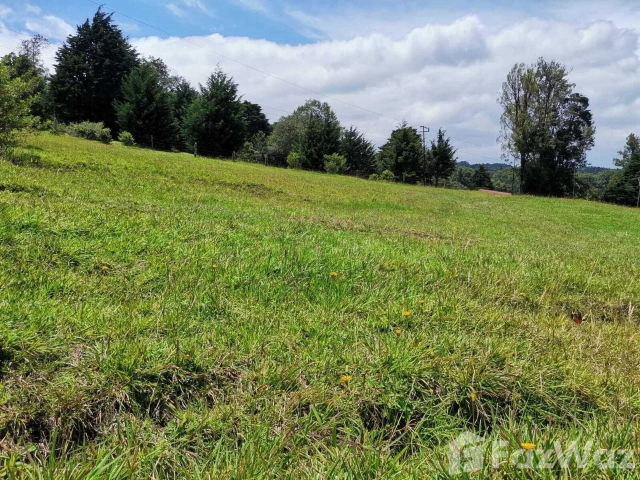 Land for Sale at HEREDIA for $255,000 — photo 4
