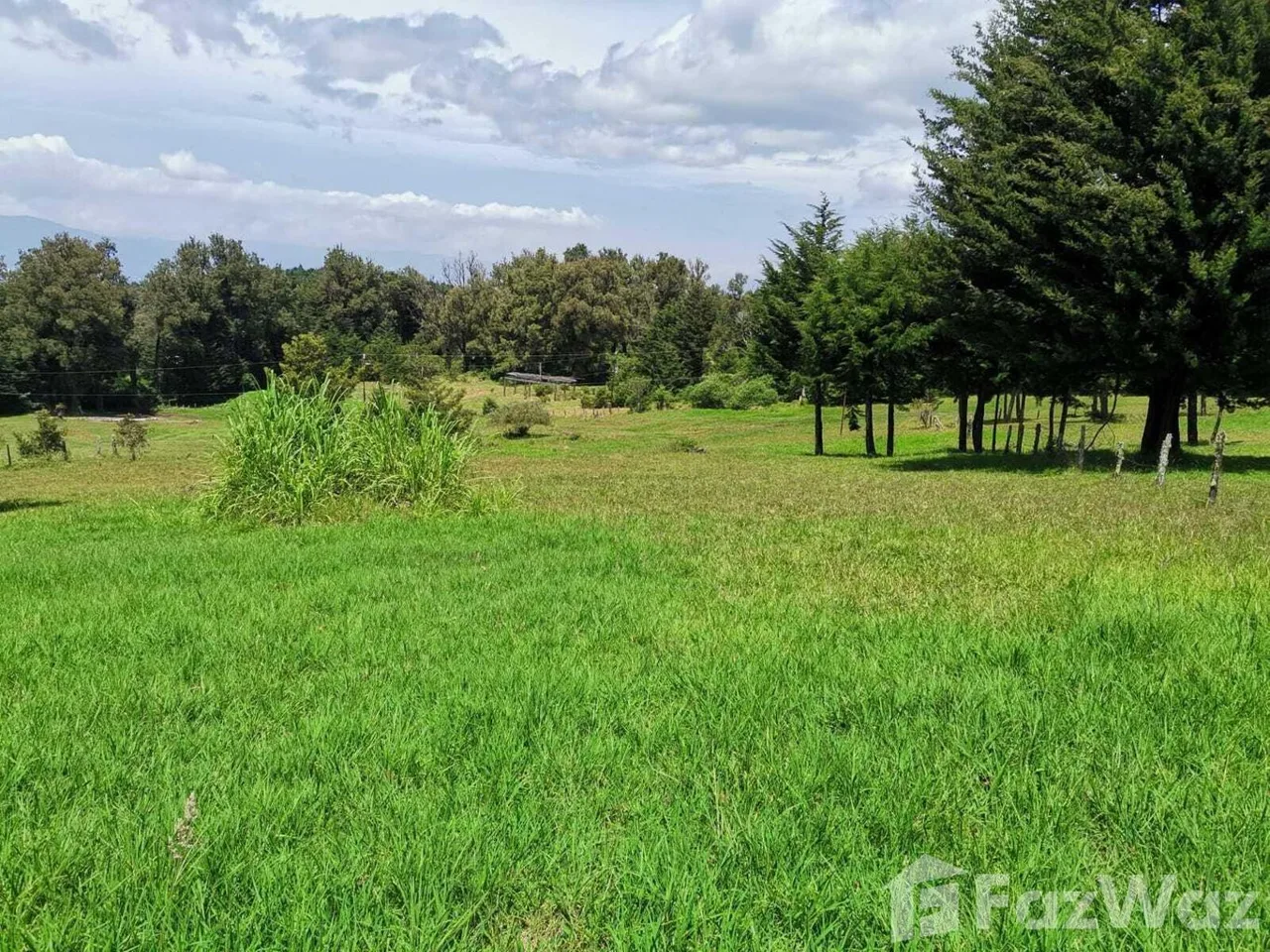 Land for Sale at HEREDIA for $255,000 — photo 5