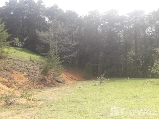 Land for Sale in Dota, San Jose for $100,000 — photo 2