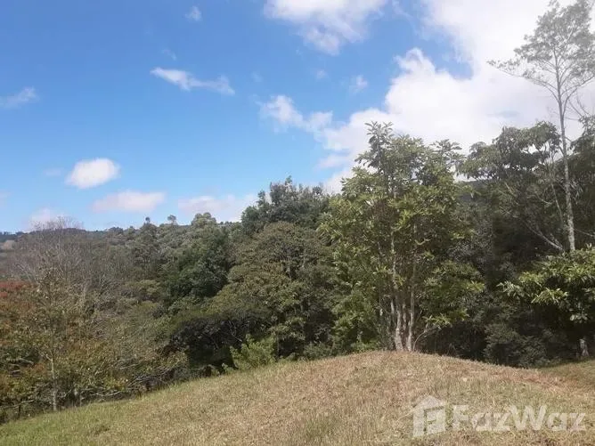 Land for Sale in Dota, San Jose for $100,000 — photo 3