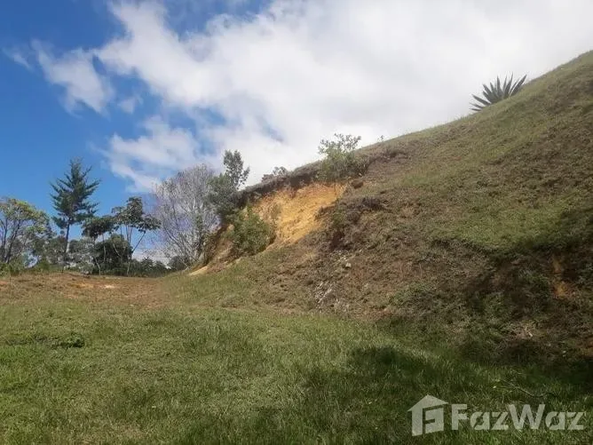 Land for Sale in Dota, San Jose for $100,000 — photo 4