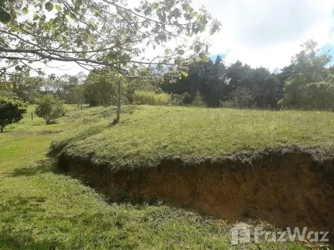 Land for Sale in Dota, San Jose for $100,000 — photo 5