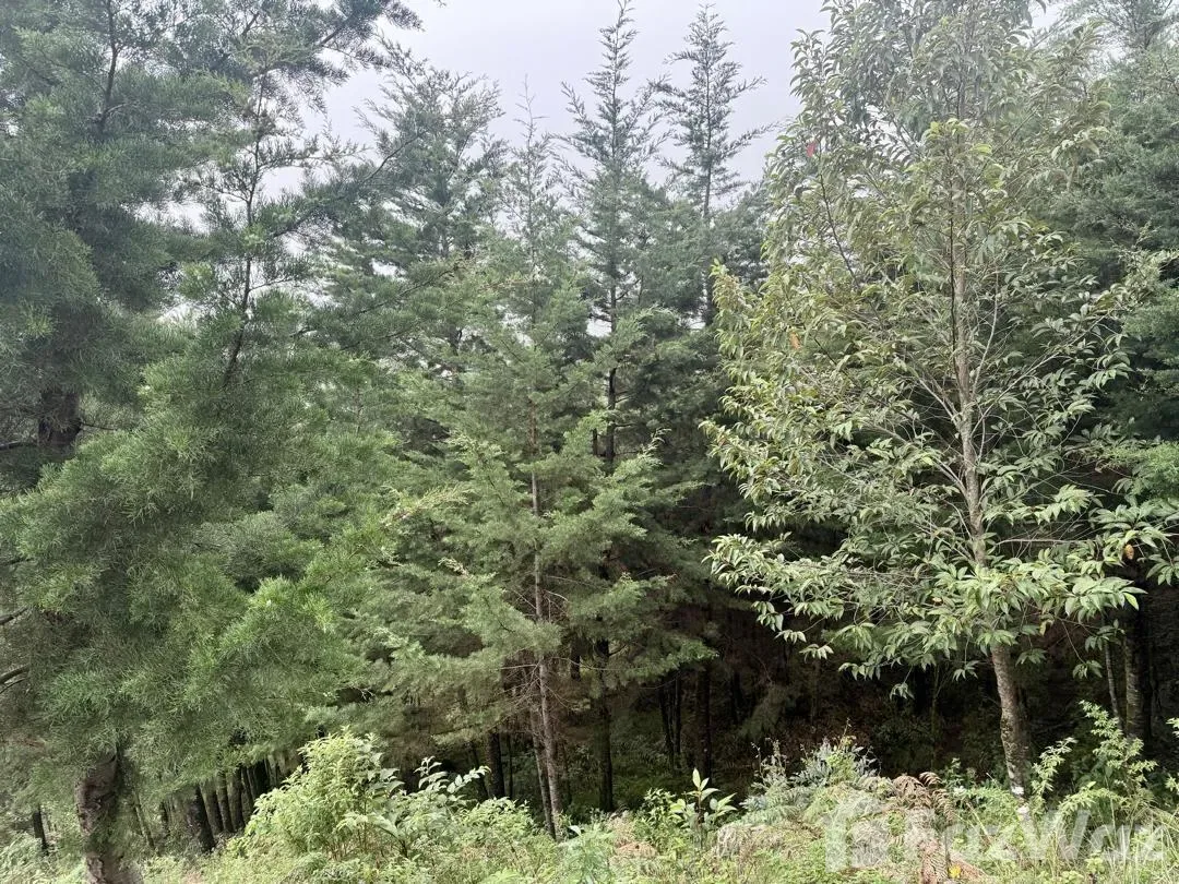 Land for Sale at Bo. Jesús for $68,500