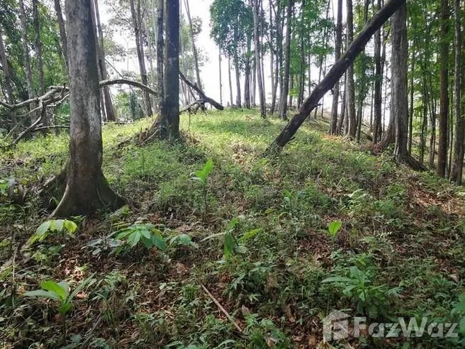 Land for Sale in Osa, Puntarenas for $175,000