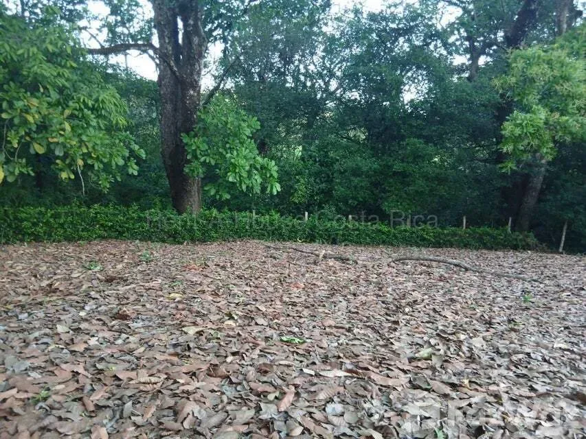 Land for Sale at Barco Quebrado for $129,000