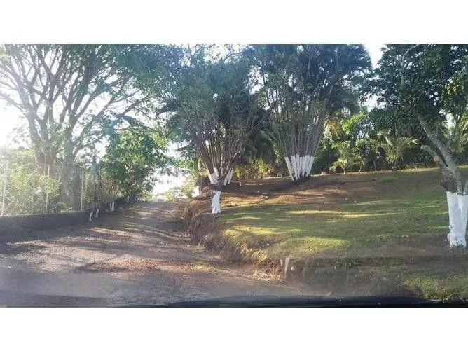 Land for Sale in Grecia, Alajuela for $285,000
