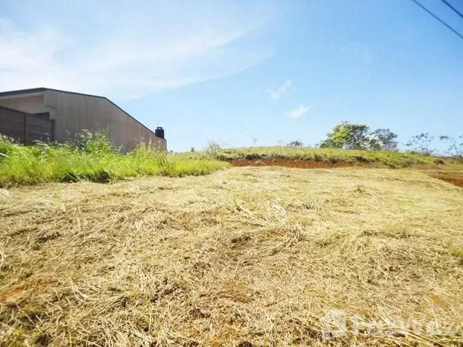 Land for Sale in San Ramon, Alajuela for $45,000