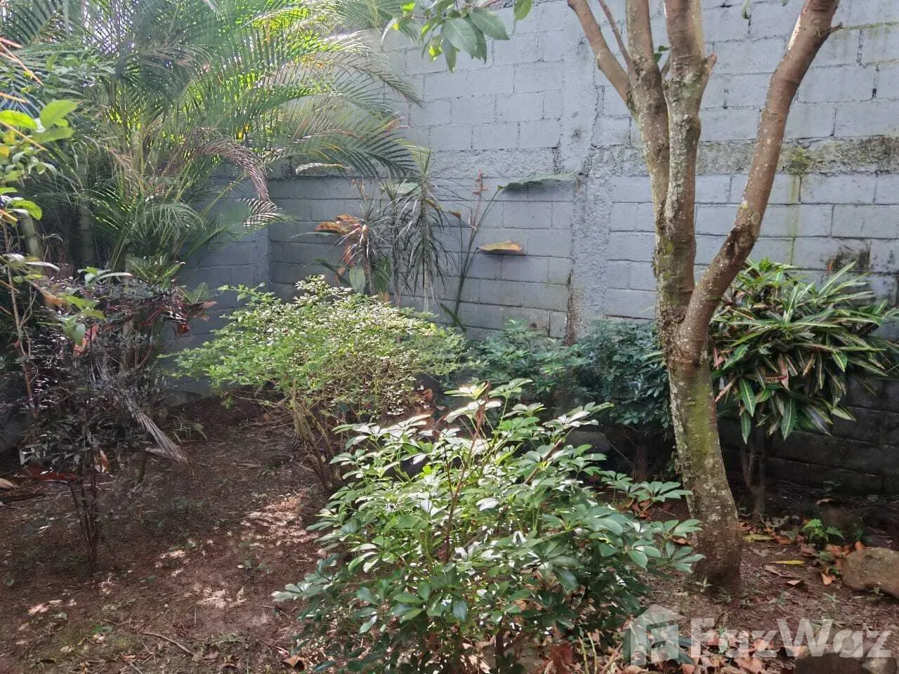 Shophouse for Sale in Montes De Oca, San Jose for $295,000 — photo 2