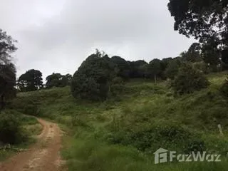 Land for Sale in Dota, San Jose for $250,000