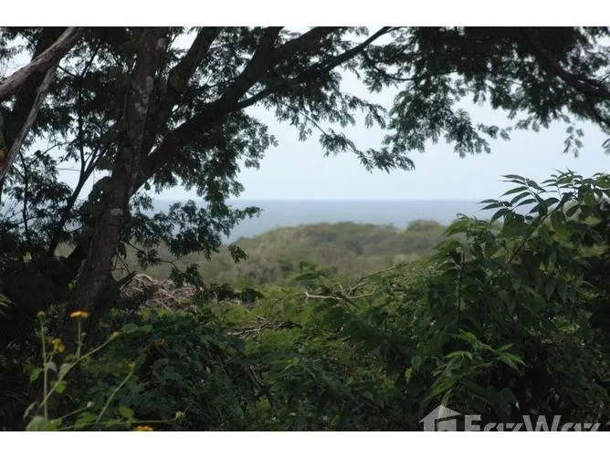 Land for Sale in Santa Cruz, Guanacaste for $60,000