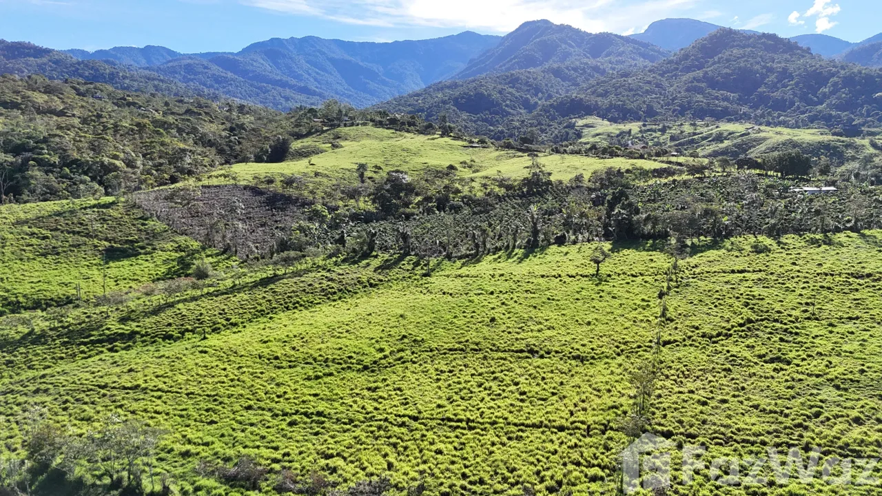 Land for Sale in Perez Zeledon, San Jose for $190,000 — photo 2