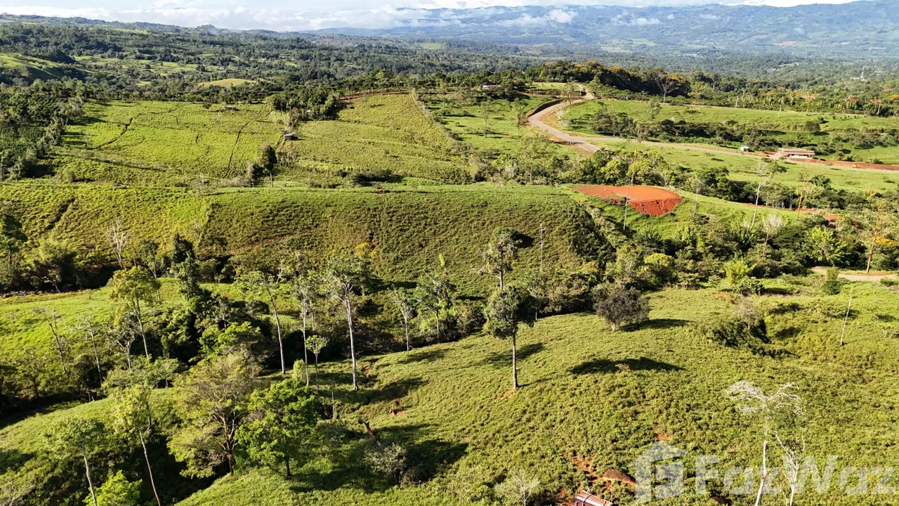 Land for Sale in Perez Zeledon, San Jose for $190,000 — photo 3