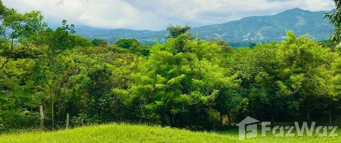 Land for Sale at Paseo Colon for $968