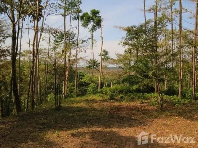 Land for Sale in Osa, Puntarenas for $128,000