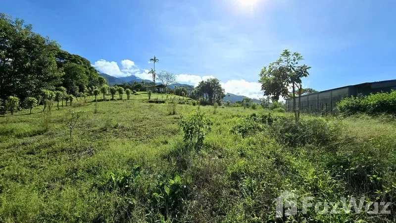 Land for Sale in Perez Zeledon, San Jose for $70,000 — photo 2