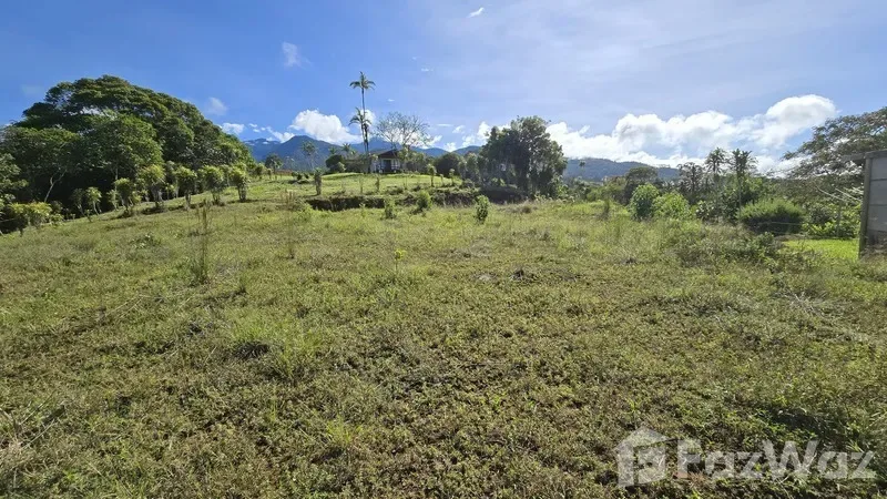 Land for Sale in Perez Zeledon, San Jose for $70,000 — photo 5