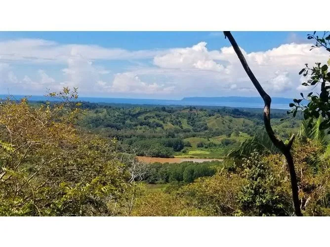 Land for Sale in Golfito, Puntarenas for $900,000