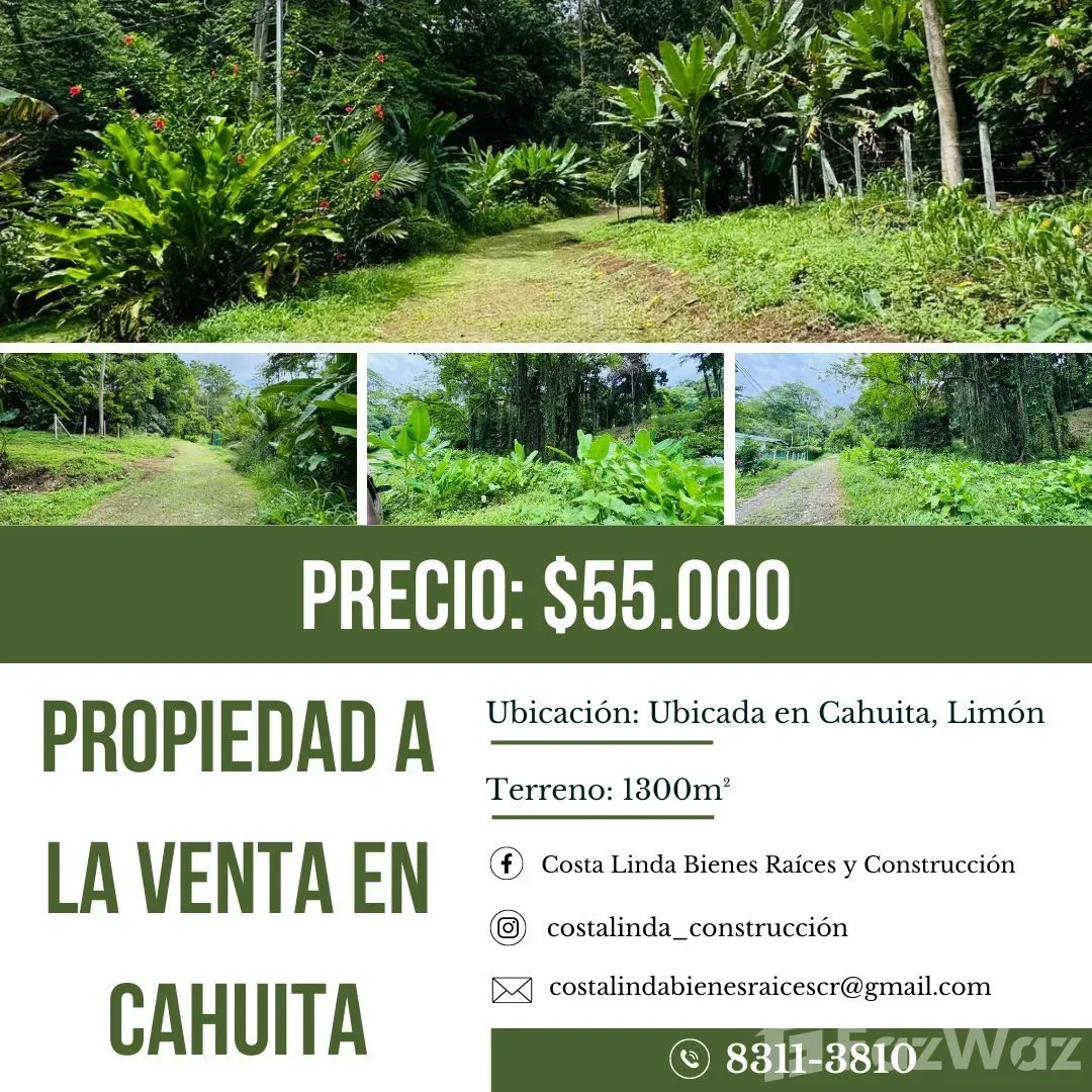 Land for Sale in Talamanca, Limon for $55,000