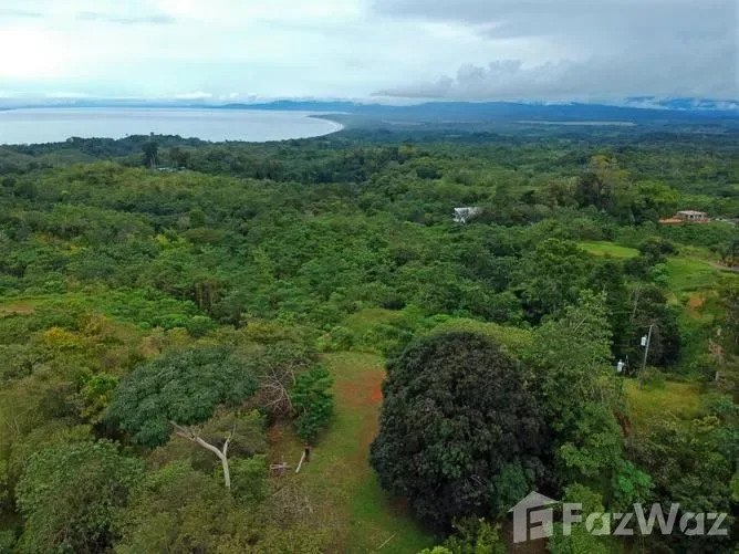 Land for Sale in Golfito, Puntarenas for $80,000