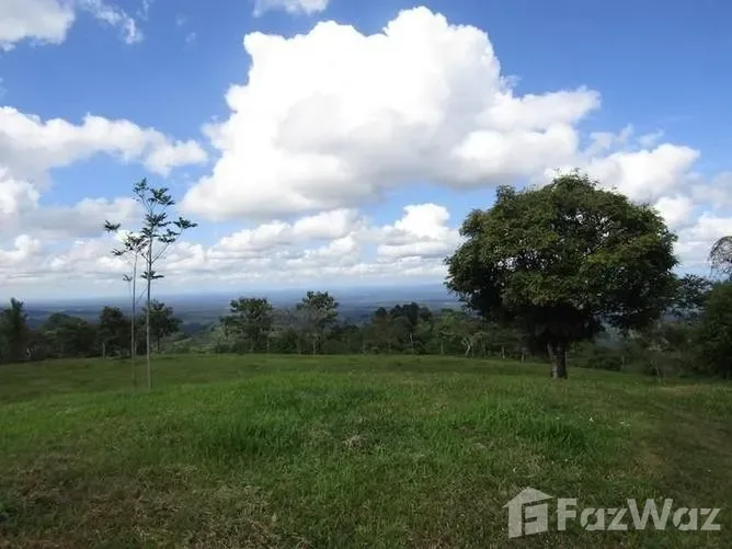 Land for Sale in Siquirres, Limon for $200,000