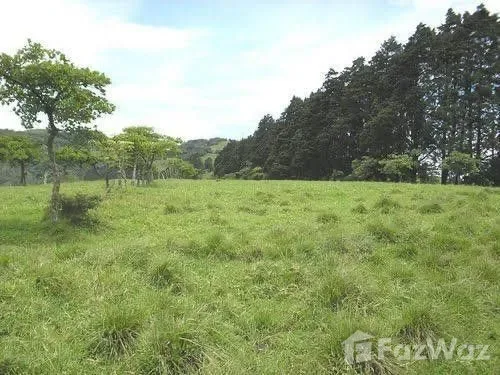Land for Sale at Condominium For Sale in Cartago for $6,000,000