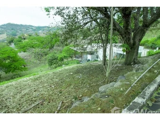 Land for Sale in Santa Ana, San Jose for $178,500
