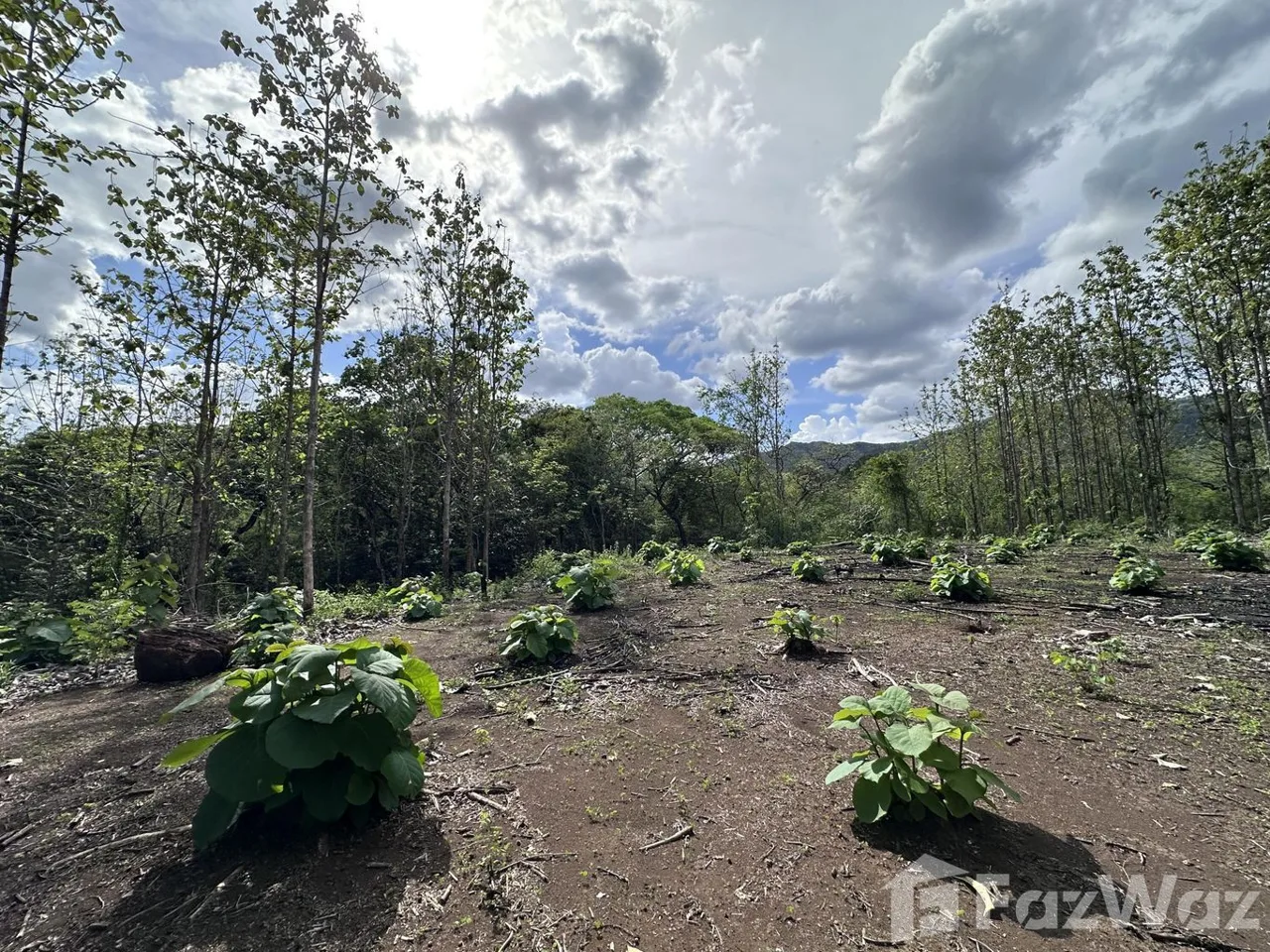 Land for Sale in Nicoya, Guanacaste for $65,000