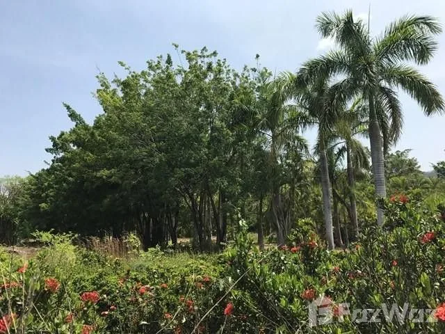 Land for Sale in Santa Cruz, Guanacaste for $1,196,200
