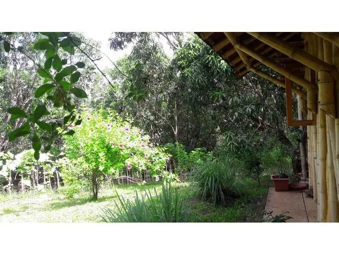 5 Bedroom House for Sale in Turrubares, San Jose for $210,000 — photo 5