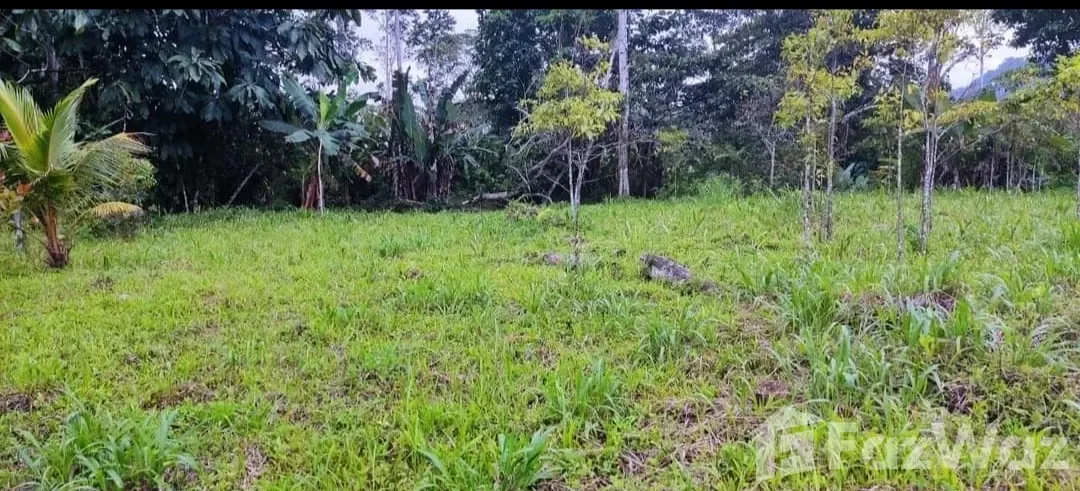 Land for Sale in Talamanca, Limon for $0