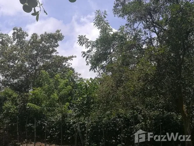 Land for Sale in Puriscal, San Jose for $1,150,000 — photo 2