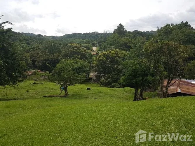 Land for Sale in Puriscal, San Jose for $1,150,000 — photo 4