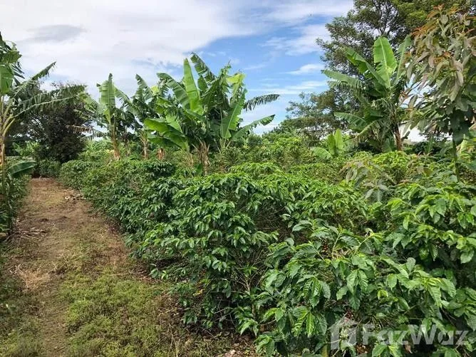 Land for Sale in Desamparados, San Jose for $150,000