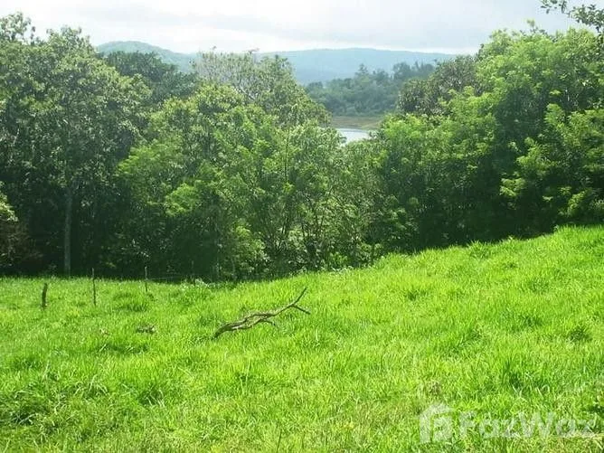 Land for Sale in Tilaran, Guanacaste for $32,000
