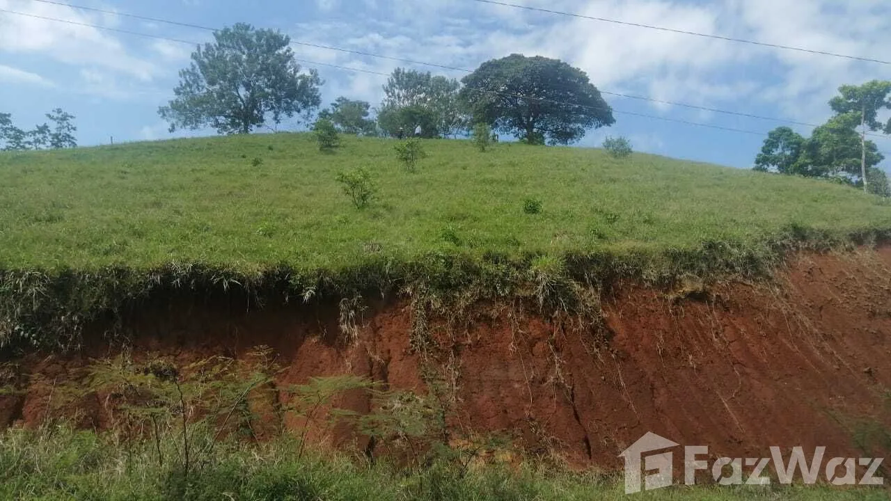 Land for Sale in San Carlos, Alajuela for $209,000