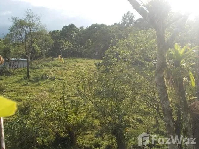 Land for Sale in San Carlos, Alajuela for $125,000