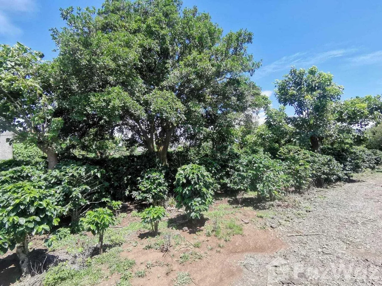 Land for Sale at Mountain Condominium For Sale in San Isidro for $1,000,000 — photo 4