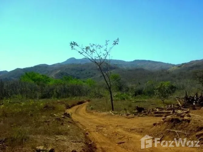 Land for Sale in Nandayure, Guanacaste for $279,000