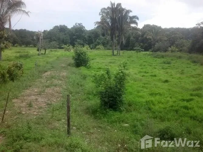 Land for Sale in Golfito, Puntarenas for $1,995,595
