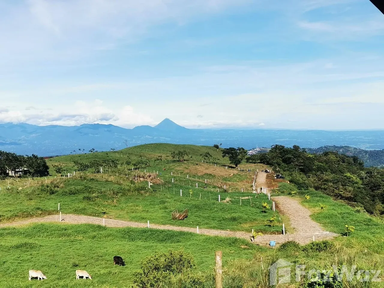 Land for Sale in San Carlos, Alajuela for $94,500