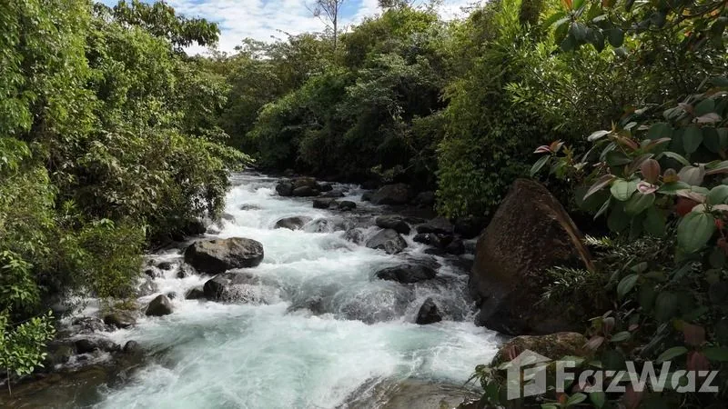 Land for Sale in Perez Zeledon, San Jose for $250,000
