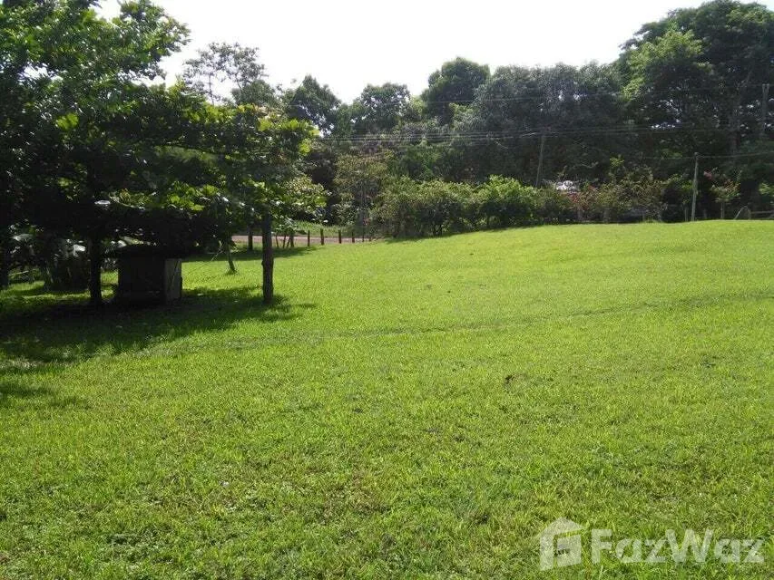 Land for Sale at Centro de Samara for $250,000