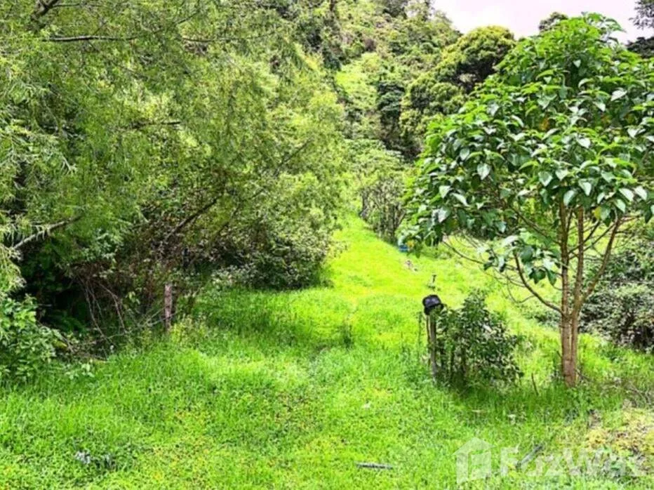 Land for Sale at SAN JOSE for $360,000 — photo 2