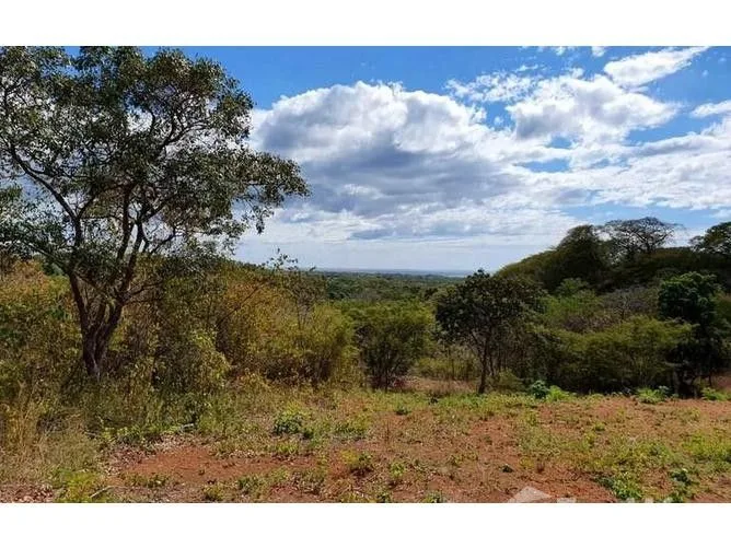 Land for Sale in Santa Cruz, Guanacaste for $149,000